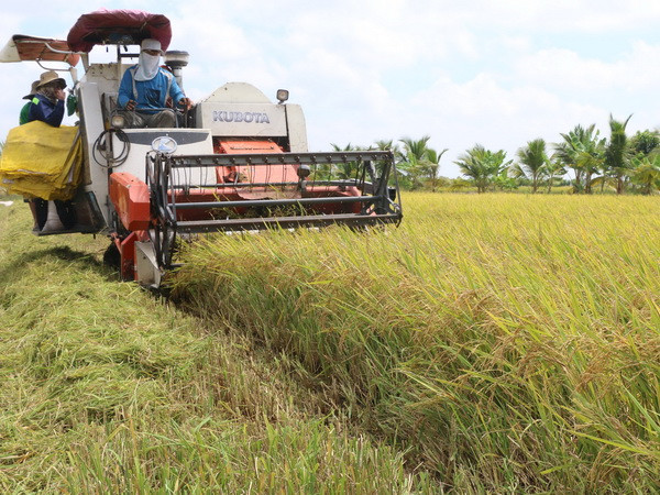 Phát động cuộc thi sáng tác logo thương hiệu quốc gia gạo Việt Nam ảnh 1