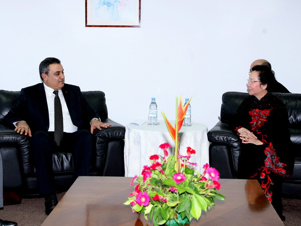 Phó Chủ tịch nước tiếp các lãnh đạo Mauritius, Tunisia, Haiti ảnh 1