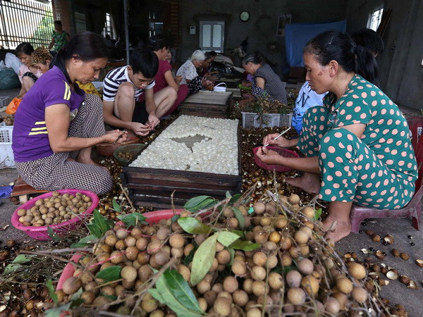 Xuất khẩu nông lâm thủy sản sẽ đạt mốc kỷ lục mới với 40 tỷ USD ảnh 3