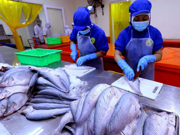 Xuất khẩu nông lâm thủy sản sẽ đạt mốc kỷ lục mới với 40 tỷ USD ảnh 2