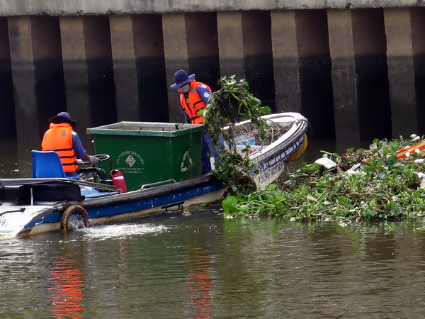 Cá chết nổi trắng kênh Nhiêu Lộc-Thị Nghè sau mưa trái mùa ảnh 1