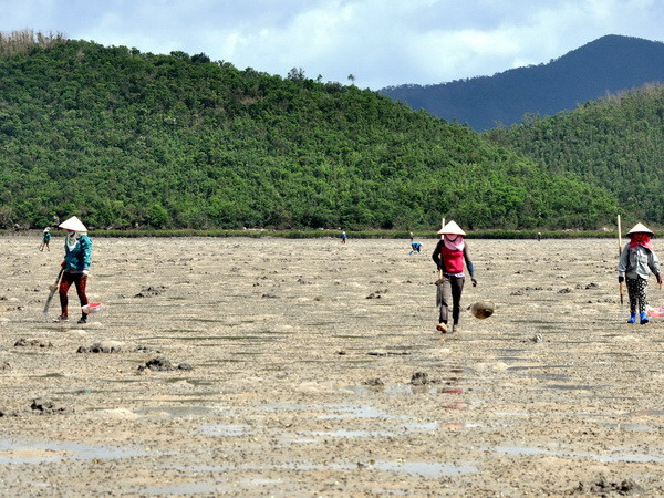 Nhọc nhằn nghề khai thác đặc sản sá sùng tại Quảng Ninh ảnh 3