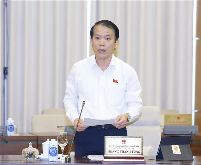 Chủ nhiệm Uỷ ban Pháp luật của Quốc hội Hoàng Thanh Tùng trình bày báo cáo thẩm tra. (Ảnh: Doãn Tấn/TTXVN) Tán thành việc thành lập Văn phòng Đoàn đại biểu Quốc hội và HĐND ảnh 2