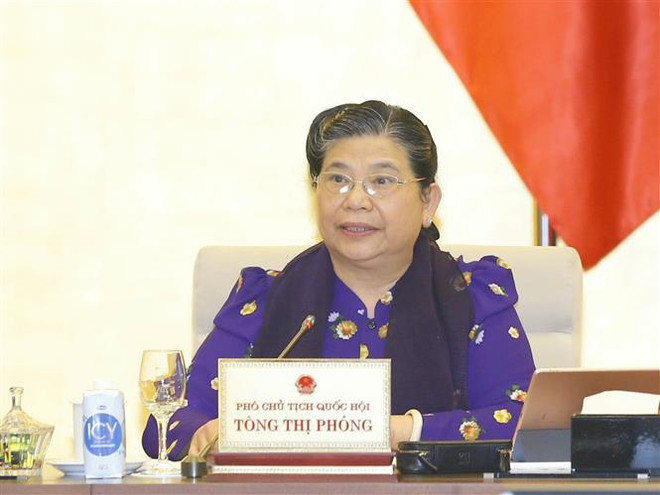 Phó Chủ tịch Thường trực Quốc hội Tòng Thị Phóng phát biểu. (Ảnh: Doãn Tấn/TTXVN) Tán thành việc thành lập Văn phòng Đoàn đại biểu Quốc hội và HĐND ảnh 4