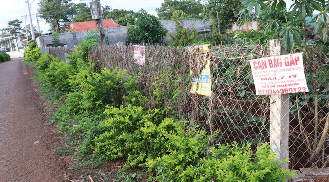 Tây Nguyên trong vòng xoáy sốt đất: Nhiễu loạn thị trường ảnh 4