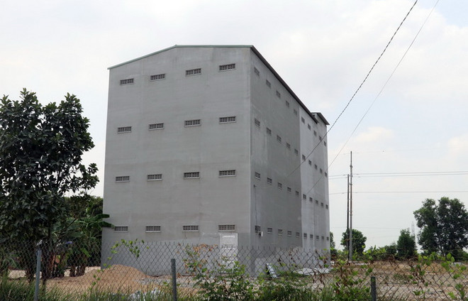 Đồng Tháp: Di dời cơ sở nuôi chim yến ra khỏi đô thị, khu dân cư ảnh 1