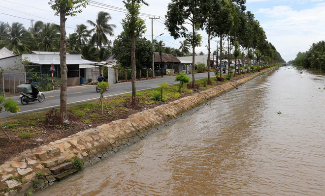 Kiên Giang: Chủ động ứng phó với mưa lớn, ngập lụt, sạt lở đất ảnh 1