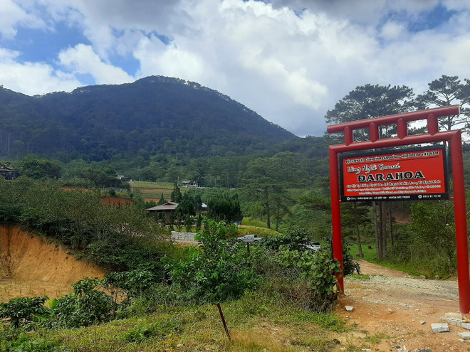 Ngôi làng biệt thự ngang nhiên xây dựng trên đất rừng có chủ ảnh 1