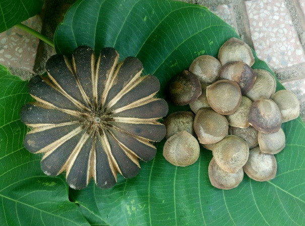 Ngành Y tế Lâm Đồng chỉ đạo khẩn trương phòng, chống ngộ độc thực phẩm ảnh 1