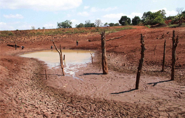 Quốc tế cam kết hỗ trợ Việt Nam 12,3 triệu USD ứng phó với hạn mặn ảnh 1