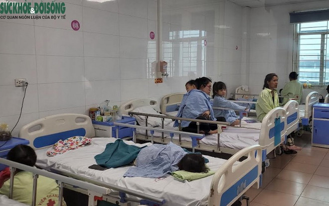 Hà Nội: Gia tăng bệnh nhân nhi mắc virus hợp bào hô hấp ảnh 1