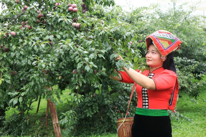 Những con số “biết nói” trong quá trình giảm nghèo bền vững ở Việt Nam ảnh 2