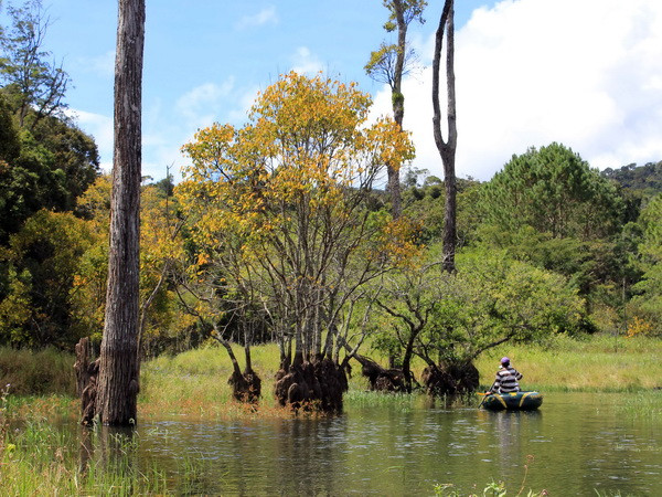 Công nhận hồ Tuyền Lâm của Đà Lạt là Khu Du lịch quốc gia ảnh 1