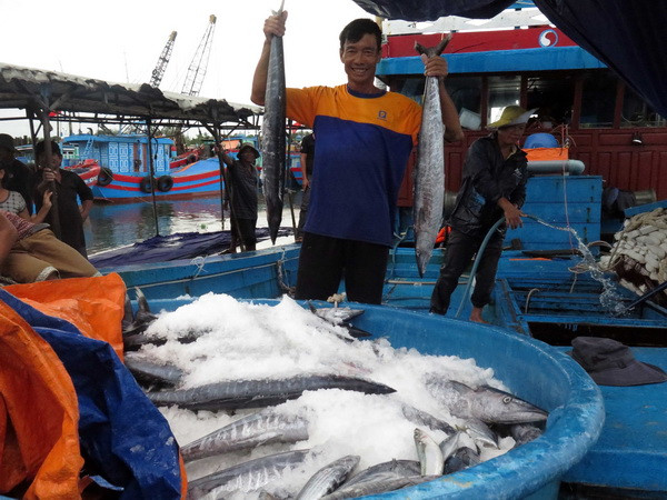 Ngư dân ven biển phấn khởi trúng đậm vụ cá đầu năm ảnh 1