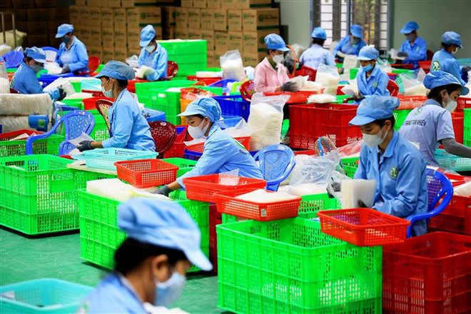 ASEAN+3 chia sẻ kinh nghiệm phục hồi thị trường lao động ảnh 1