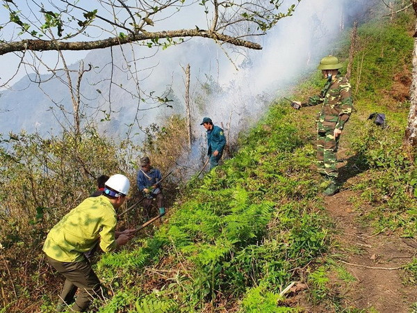 Lào Cai khống chế nhanh nhiều điểm cháy giáp ranh rừng ảnh 1