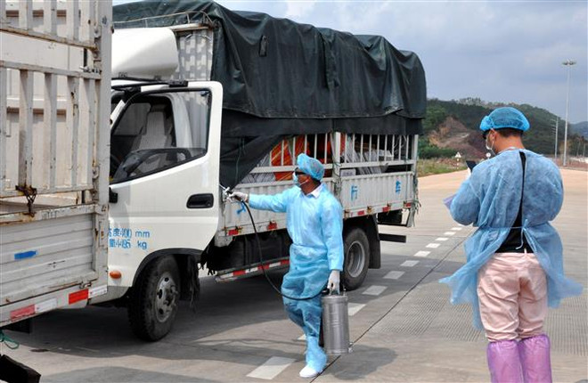 Bàn giải pháp khôi phục kinh tế thương mại Việt Nam-Trung Quốc ảnh 1