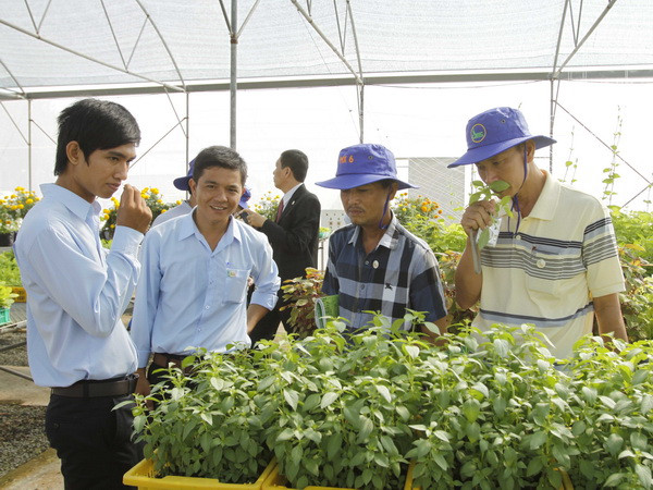 Thành phố Hồ Chí Minh khánh thành Trung tâm Giống rau hoa ảnh 1