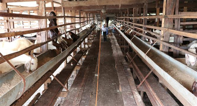 Kinh tế tuần hoàn - nhiệm vụ ưu tiên trong phát triển của Việt Nam ảnh 2