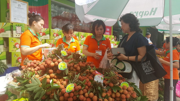 Khai mạc Tuần lễ vải thiều Thanh Hà Hải Dương tại Hà Nội ảnh 1