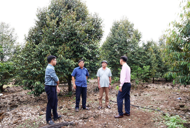 Ông Trịnh Quang Tân (thứ hai từ phải qua), ở ấp Ngọc Lâm 2, xã Phú Thanh, huyện Tân Phú, tỉnh Đồng Nai, thuộc đối tượng hộ cận nghèo được vay 80 triệu đồng để trồng 1,2ha sầu riêng Thái, vươn lên thoát nghèo. (Ảnh: Hồng Đạt/ TTXVN) ttxvn_vay von tin dung.jpg