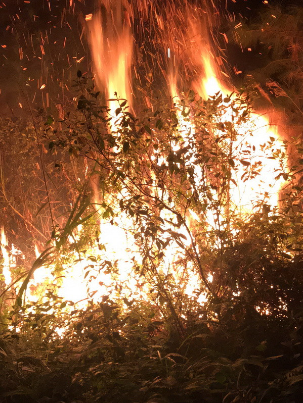 Hà Nội: Đang xảy ra cháy lớn khu rừng trồng ở huyện Sóc Sơn ảnh 5