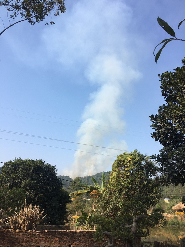 Hà Nội: Đang xảy ra cháy lớn khu rừng trồng ở huyện Sóc Sơn ảnh 2