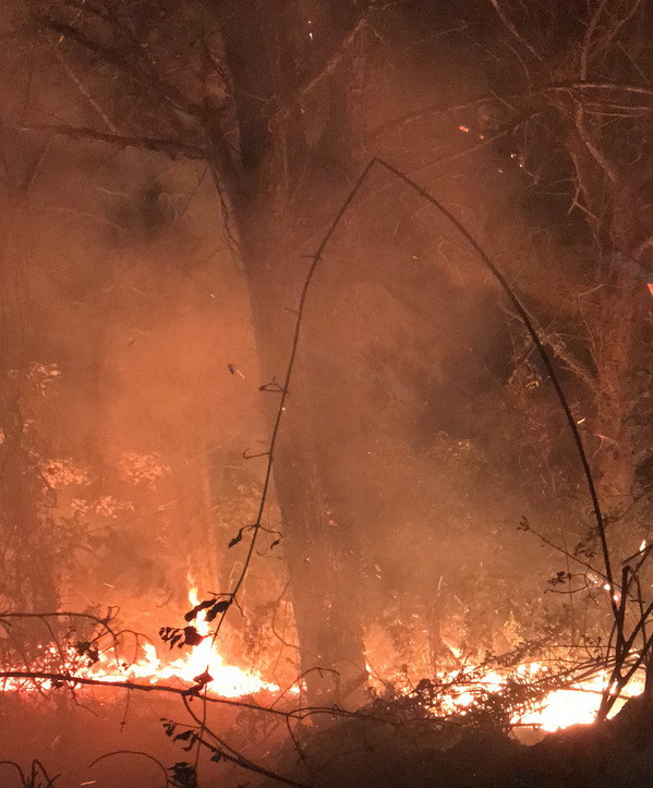 Hà Nội: Đang xảy ra cháy lớn khu rừng trồng ở huyện Sóc Sơn ảnh 4