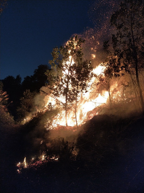 Hà Nội: Đang xảy ra cháy lớn khu rừng trồng ở huyện Sóc Sơn ảnh 3