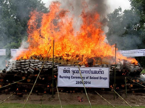 Mỹ viện trợ 1 triệu USD giúp Lào thay thế cây thuốc phiện ảnh 1