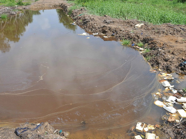 Nguồn nước ngọt tại các sông ở Hải Phòng suy thoái nghiêm trọng ảnh 1