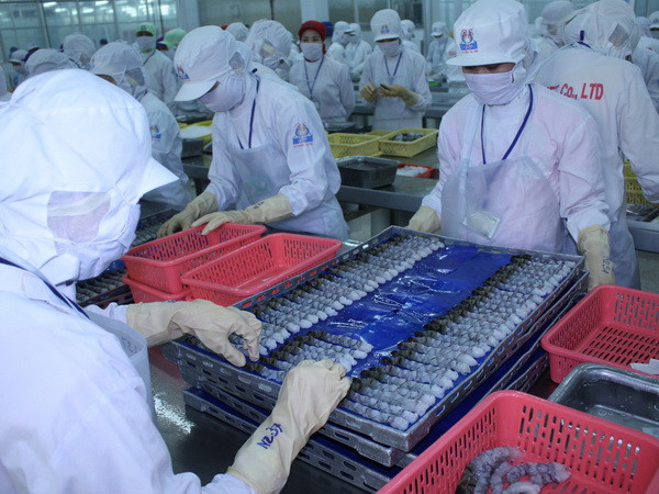 Cà Mau sẽ tuyển 10.000 lao động cho các nhà máy thủy sản ảnh 1