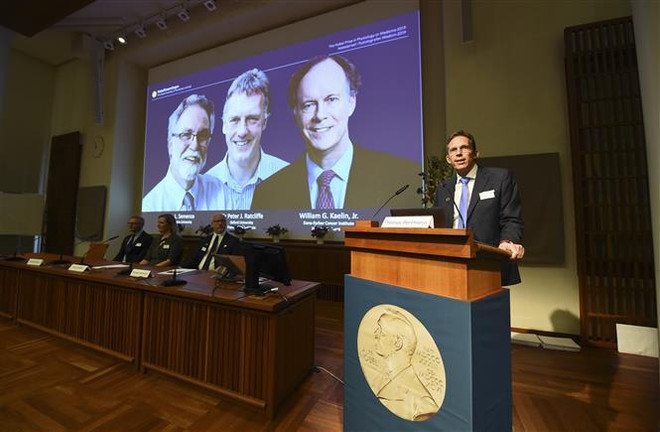 Nobel Y học 2019 vinh danh nghiên cứu điều trị bệnh thiếu máu, ung thư ảnh 1