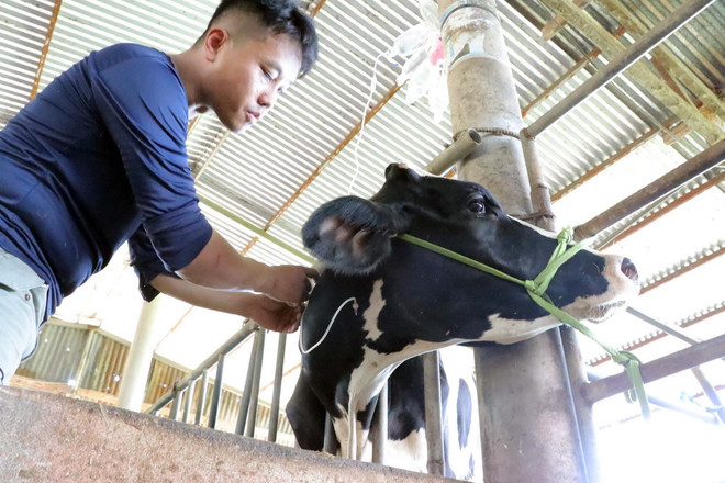 ttxvn_dan bo Lam Dong.jpg