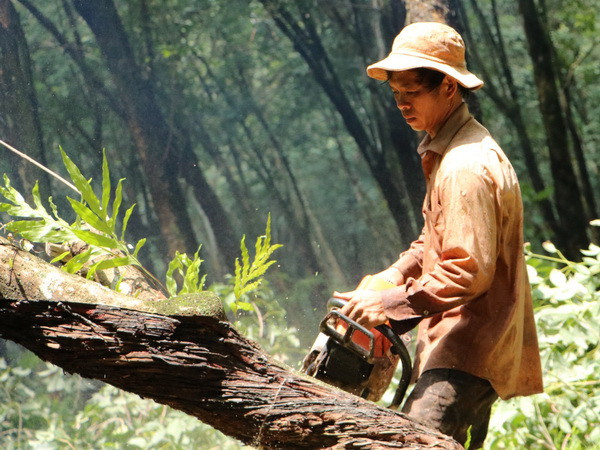 Thu hồi hơn 26ha đất để phục vụ xây dựng sân bay Long Thành ảnh 1