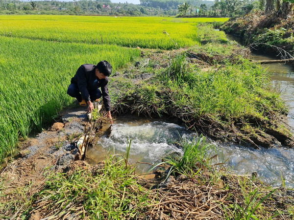 Công trình thủy lợi 4 năm sau bàn giao vẫn chưa hết bảo hành ảnh 2