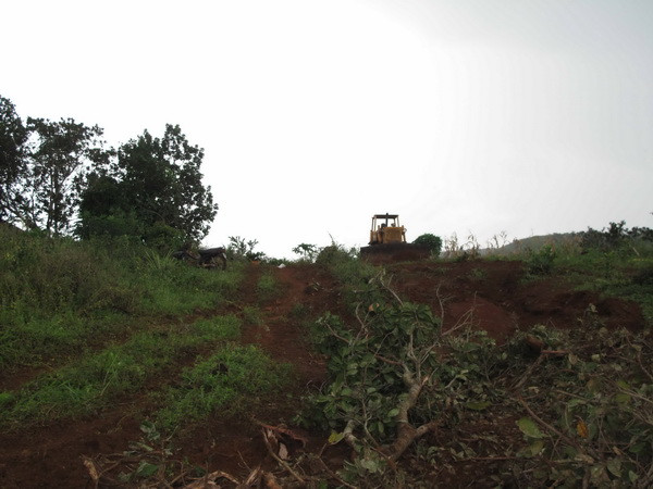 Vụ nổ súng tranh chấp đất rừng: Tạm giam Phó Giám đốc Công ty Long Sơn ảnh 1