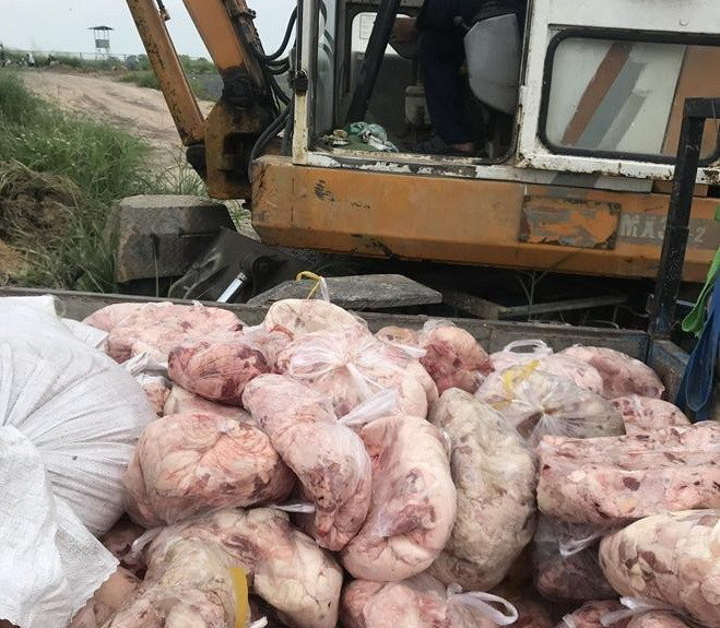 Đồng Nai liên tiếp phát hiện số lượng lớn thịt lợn đã bốc mùi hôi thối ảnh 2