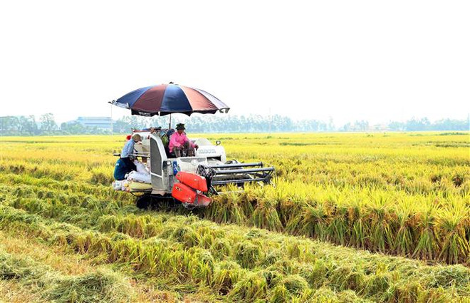 Thực thi EVFTA: Khẳng định chất lượng nông sản Việt Nam ảnh 2