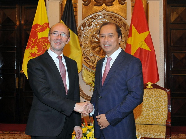 Thúc đẩy hiệu quả hợp tác giữa Việt Nam và Wallonie-Bruxelles ảnh 1