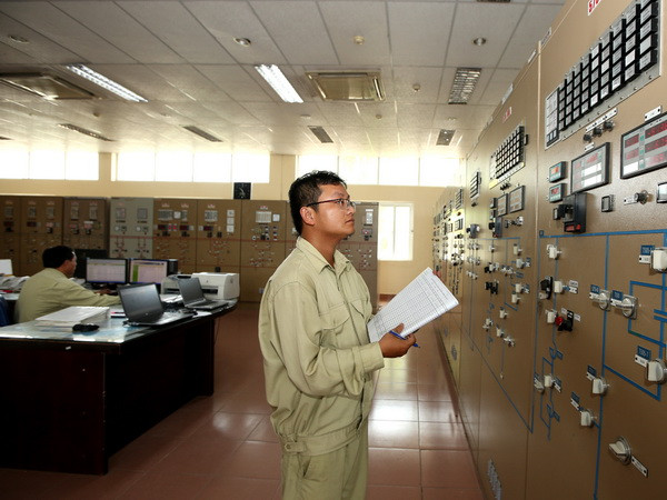 Tổ công tác của Thủ tướng kiểm tra tại Tập đoàn Điện lực Việt Nam ảnh 1