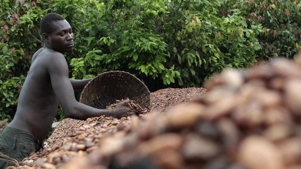 Mỹ dỡ bỏ lệnh cấm vận kinh tế đối với Côte d'Ivoire ảnh 1