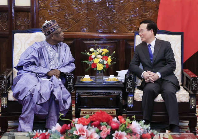 Chủ tịch nước Võ Văn Thưởng tiếp Đại sứ Nigeria tại Việt Nam ảnh 2
