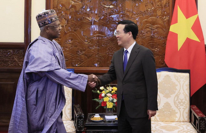Chủ tịch nước Võ Văn Thưởng tiếp Đại sứ Nigeria tại Việt Nam ảnh 3