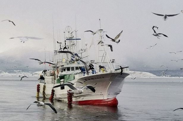 Nhật Bản yêu cầu Nga trả tự do cho tàu cá và thuyền viên bị bắt giữ ảnh 1