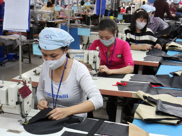 Hỗ trợ doanh nghiệp Việt Nam tiếp cận thị trường EU ảnh 1