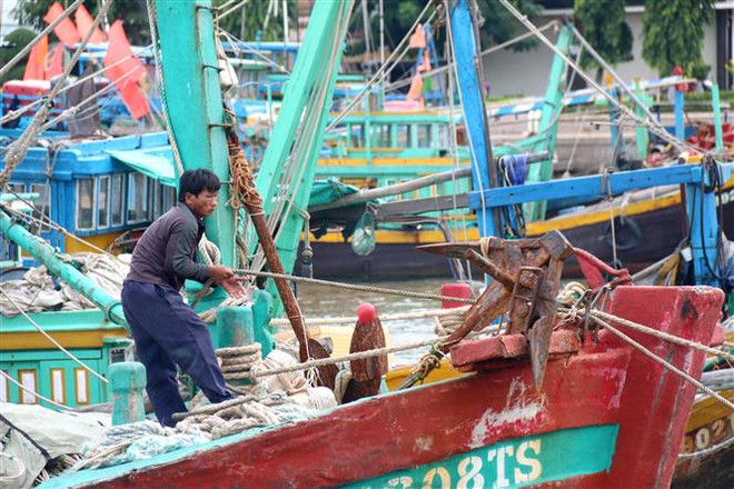 Các tỉnh từ Quảng Ninh đến Bình Thuận chủ động ứng phó với bão số 7 ảnh 1