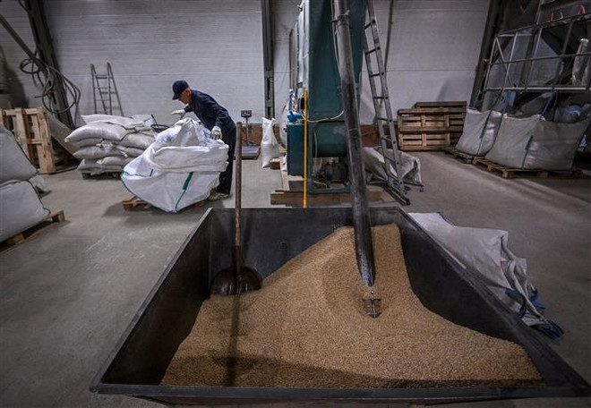 LHQ liên lạc với Nga về việc dừng thỏa thuận xuất khẩu ngũ cốc Ukraine ảnh 1