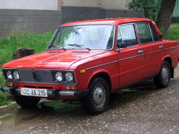 Một chú chó husky vô tình lái xe gây tai nạn ở Nga ảnh 2