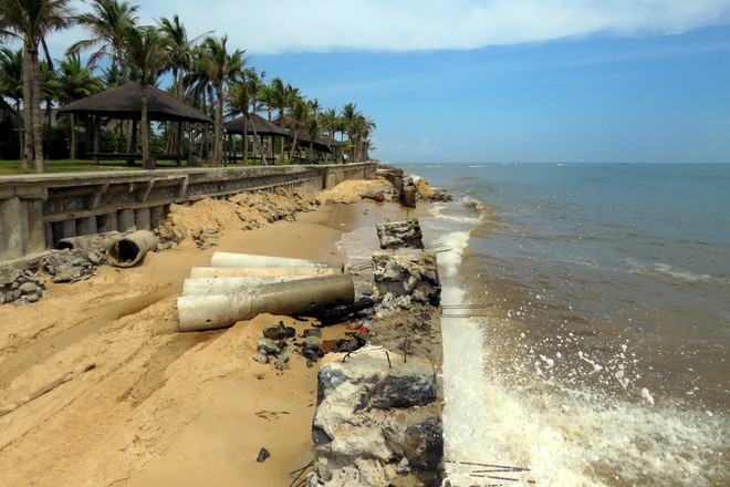 Cà Mau cần 150 tỷ đồng để bảo vệ khu vực sạt lở dọc bờ biển ảnh 1